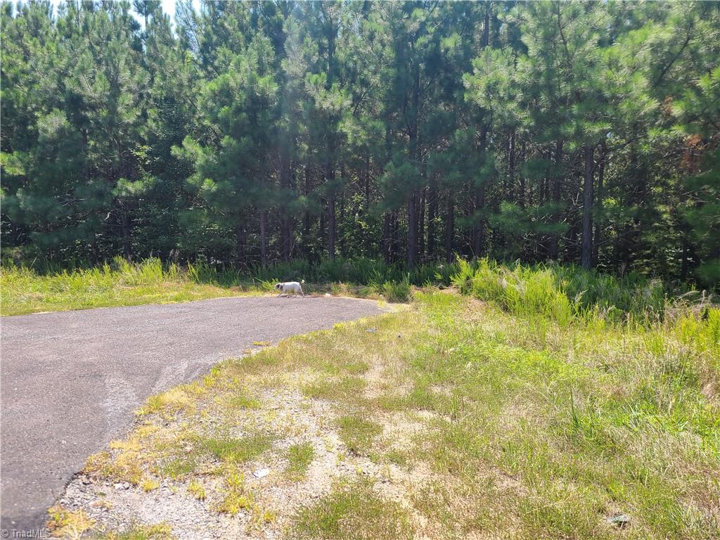 0 Hancock Road Sandy Ridge, NC 27046 - Photo 4 of 12