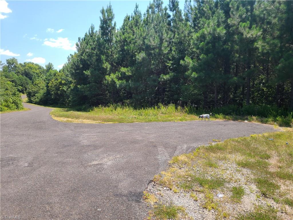 0 Hancock Road Sandy Ridge, NC 27046 - Photo 5 of 12