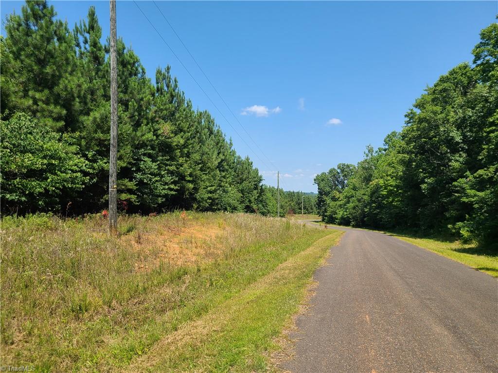 0 Hancock Road Sandy Ridge, NC 27046 - Photo 10 of 12