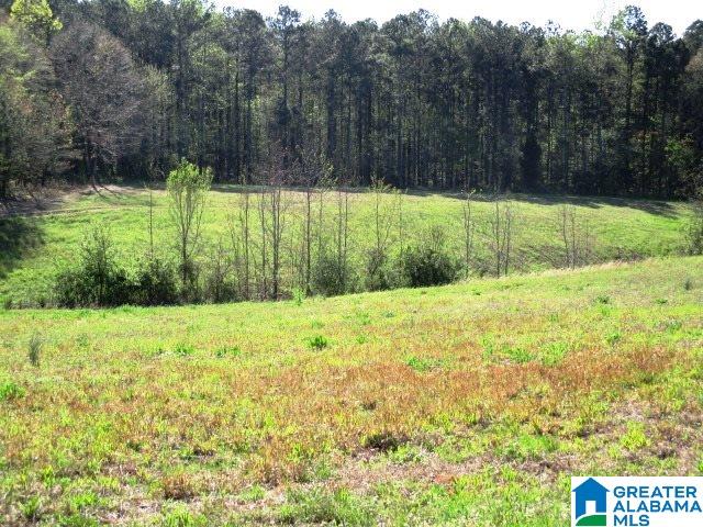 6971 Highway 24 Oneonta, AL 35121 - Photo 23 of 45