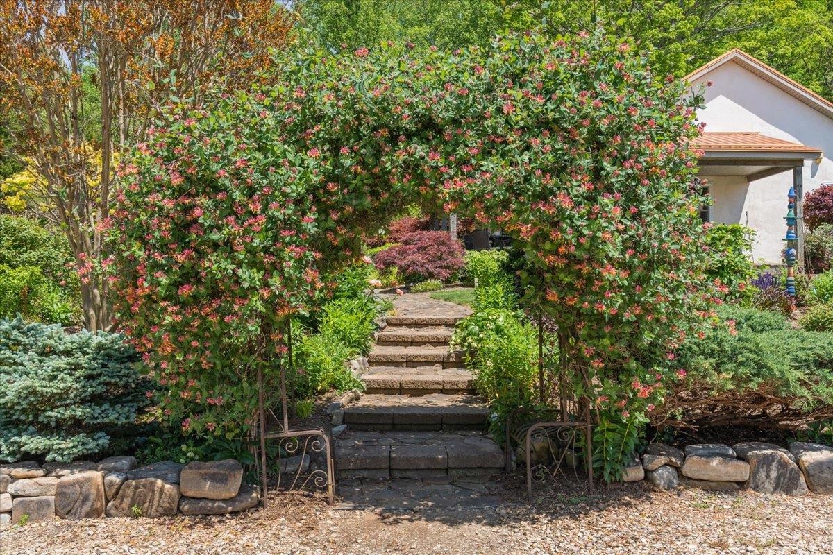 650 Sandy Bottom Road Elkton, VA 22827 - Photo 15 of 75 a view of a yard with plants and a barbeque