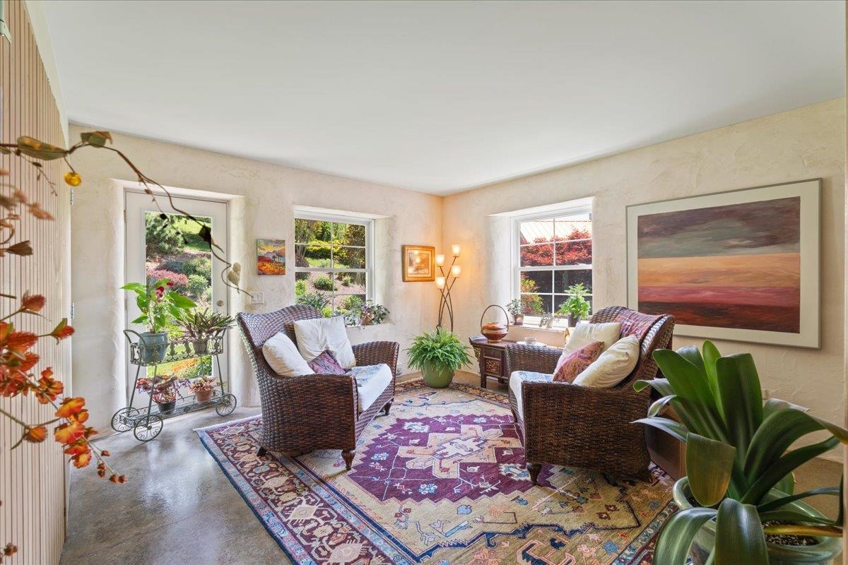 650 Sandy Bottom Road Elkton, VA 22827 - Photo 20 of 75 a living room with furniture potted plant and a window