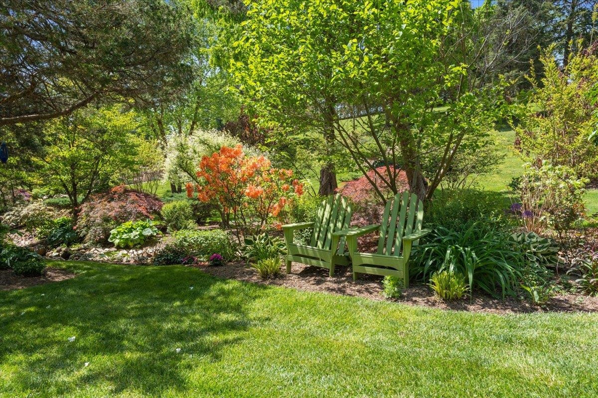 650 Sandy Bottom Road Elkton, VA 22827 - Photo 59 of 75