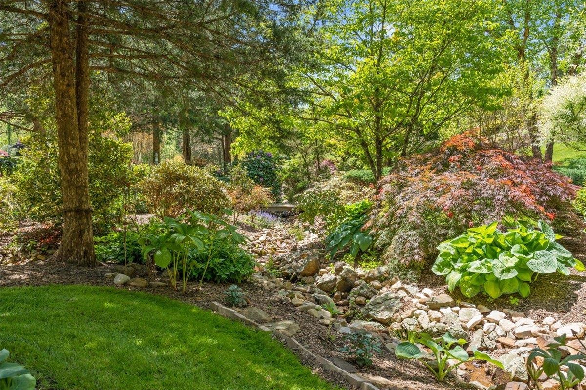 650 Sandy Bottom Road Elkton, VA 22827 - Photo 60 of 75