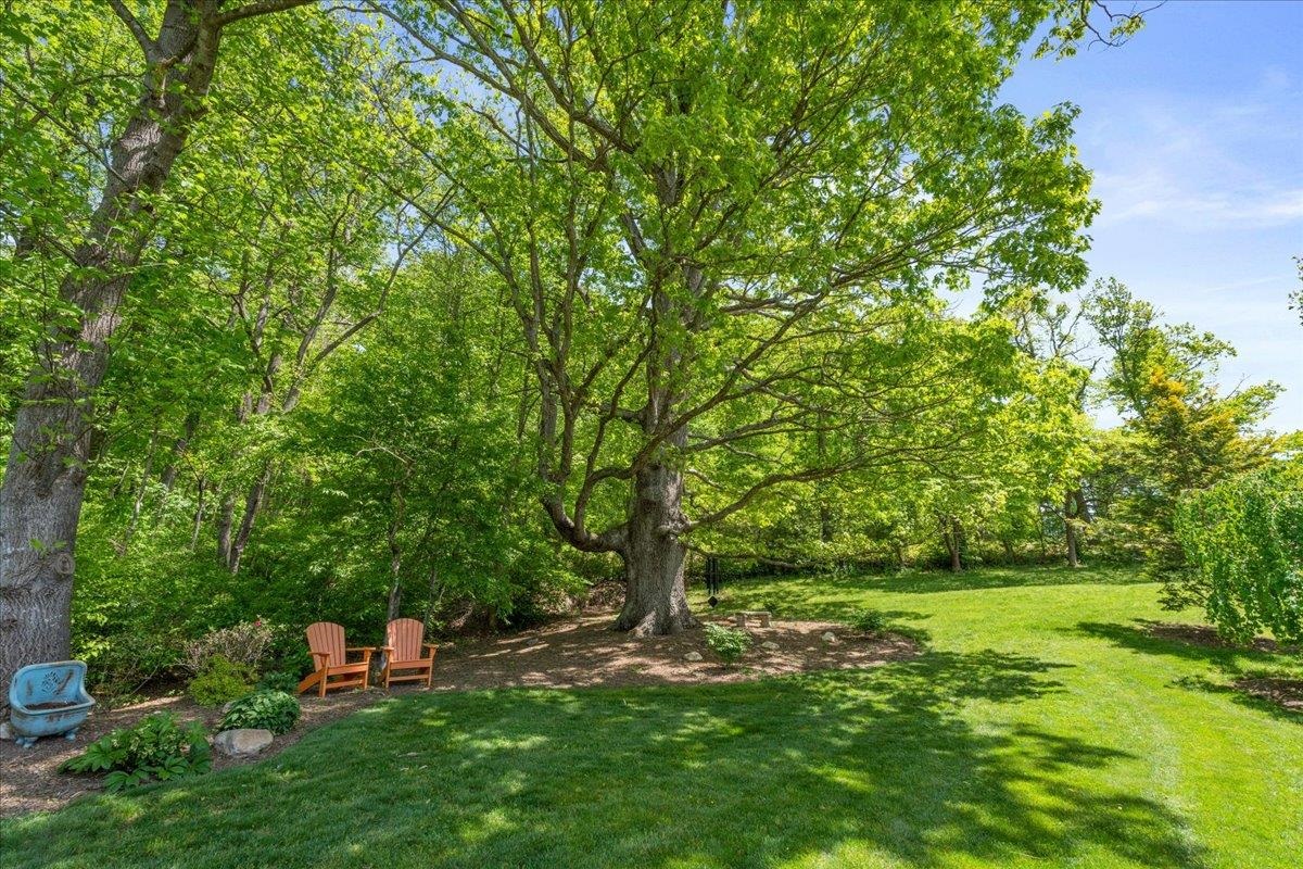 650 Sandy Bottom Road Elkton, VA 22827 - Photo 61 of 75