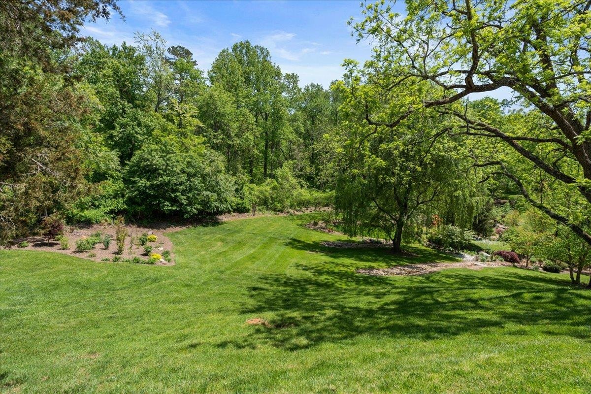 650 Sandy Bottom Road Elkton, VA 22827 - Photo 62 of 75 a green field with lots of bushes