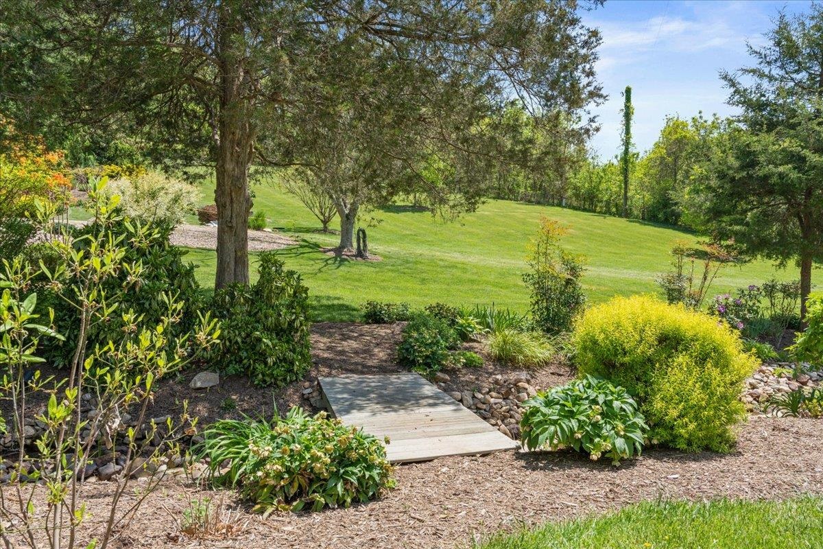 650 Sandy Bottom Road Elkton, VA 22827 - Photo 63 of 75 a view of a garden with large trees