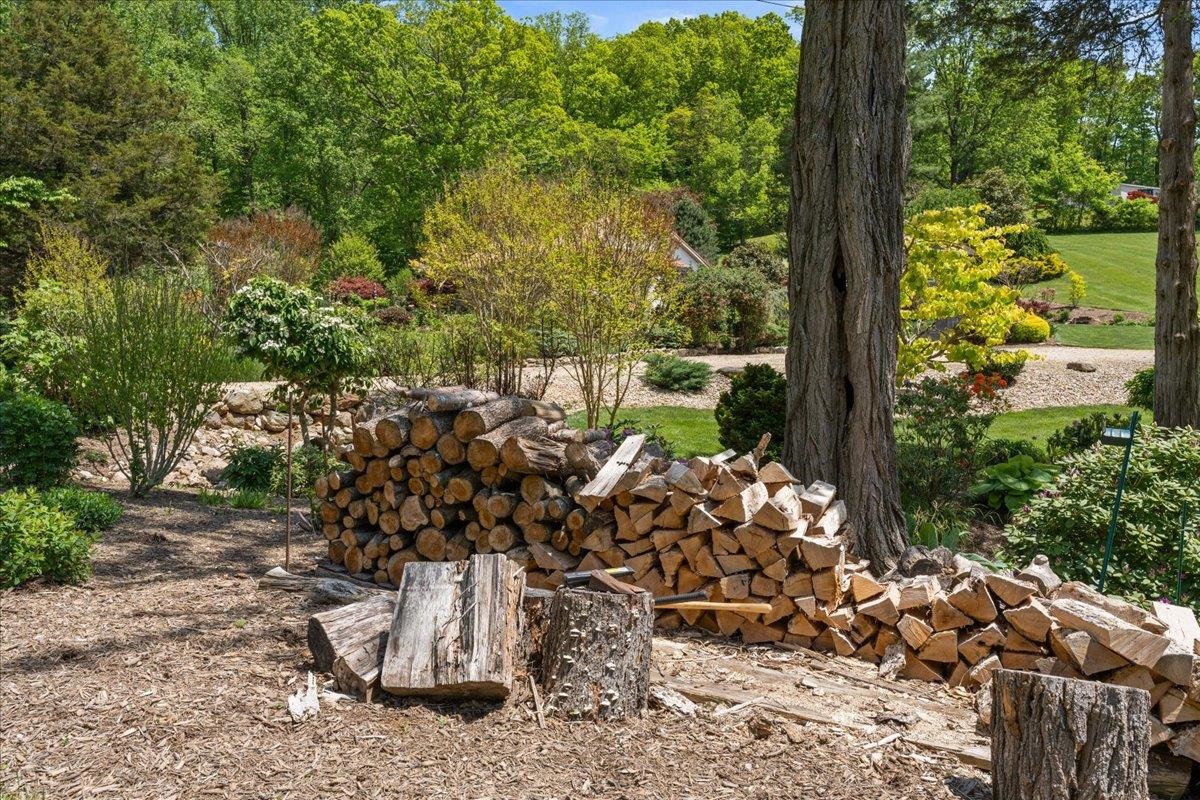 650 Sandy Bottom Road Elkton, VA 22827 - Photo 64 of 75