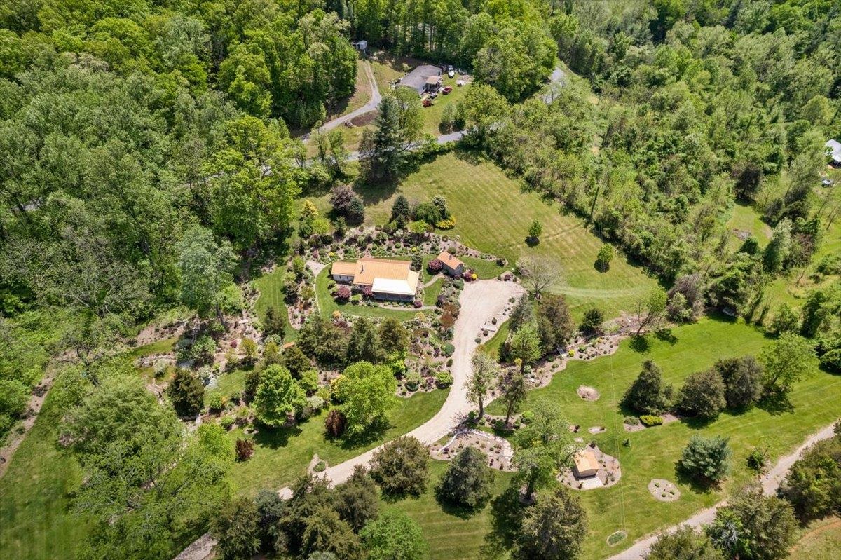 650 Sandy Bottom Road Elkton, VA 22827 - Photo 71 of 75 a view of a forest with a tree