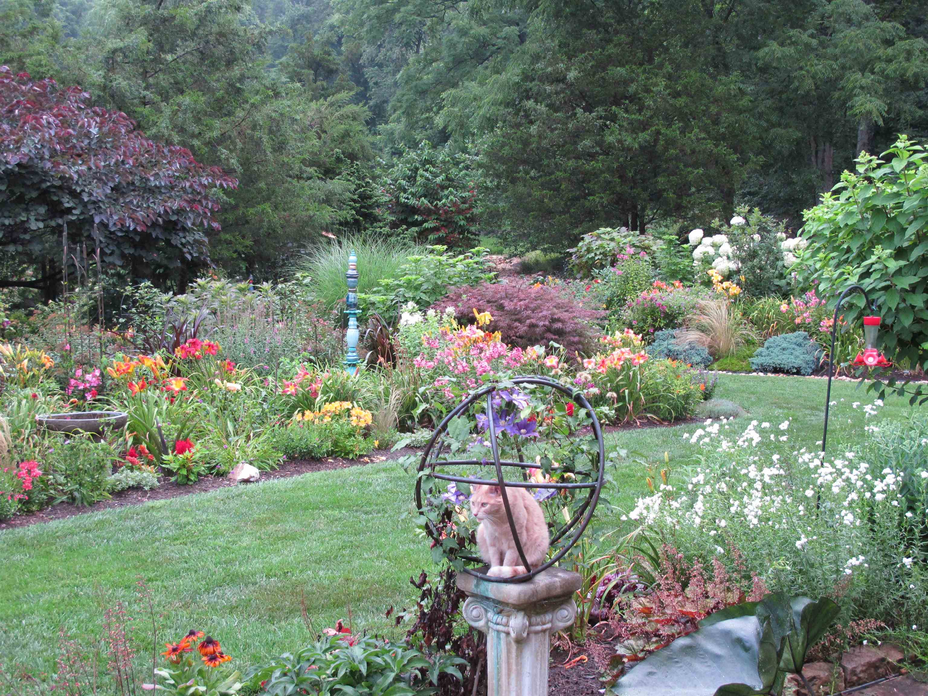 650 Sandy Bottom Road Elkton, VA 22827 - Photo 74 of 75