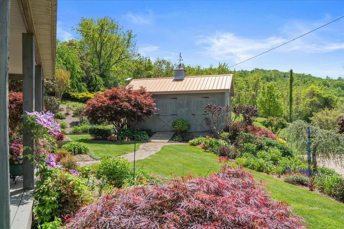 650 Sandy Bottom Road Elkton, VA 22827 - Photo 10 of 75 a view of a house with a big yard and potted plants