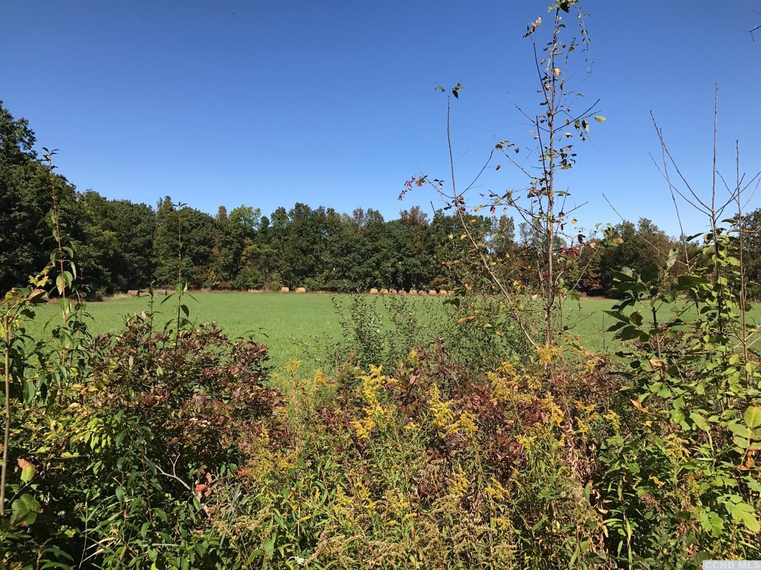 0 Brown Road Durham, NY 12422 - Photo 1 of 3 Photo 1