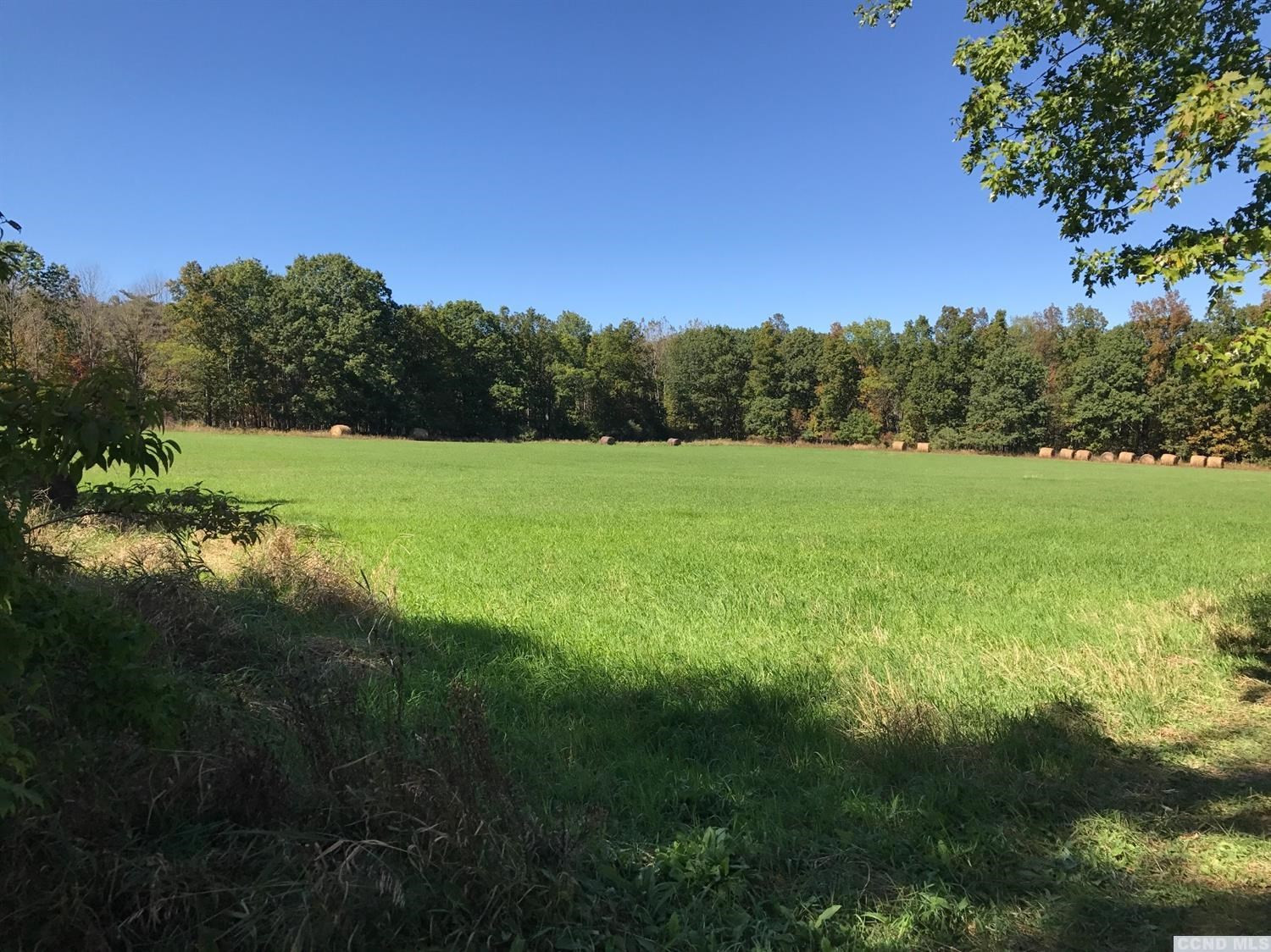0 Brown Road Durham, NY 12422 - Photo 2 of 3 Photo 2