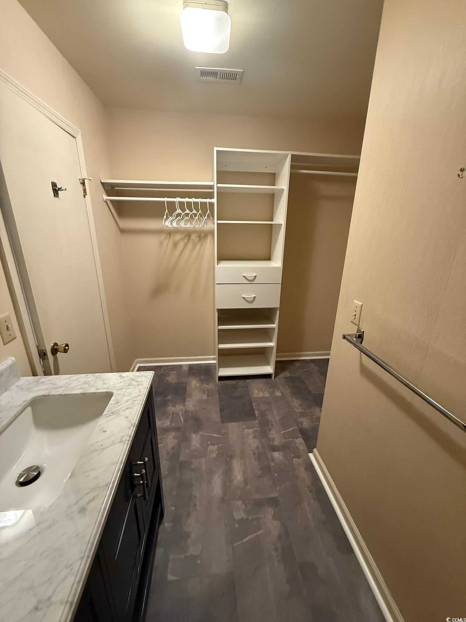 80 Wedgefield Village Road, Unit 46 Georgetown, SC 29440 - Photo 15 of 19 Walk in closet featuring dark wood-style flooring and a sink