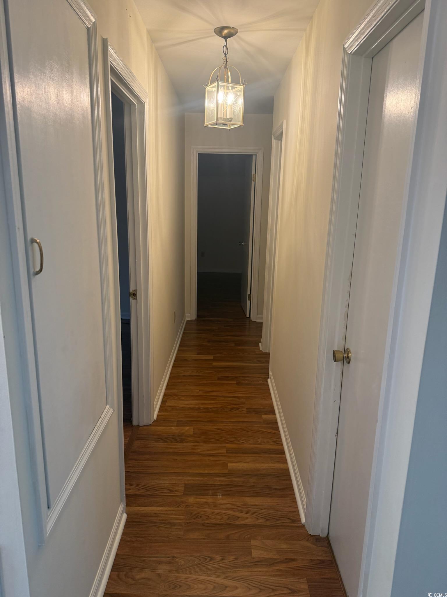 80 Wedgefield Village Road, Unit 46 Georgetown, SC 29440 - Photo 2 of 16 Hallway with dark wood finished floors and a chand