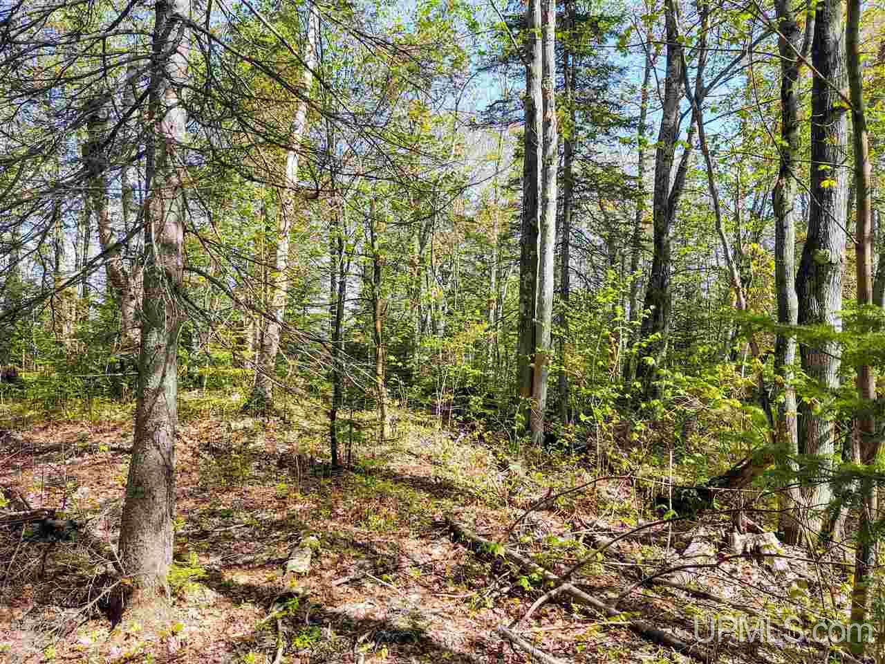 Tbd-parcel Point Abbaye Road Lanse, MI 49946 - Photo 23 of 26