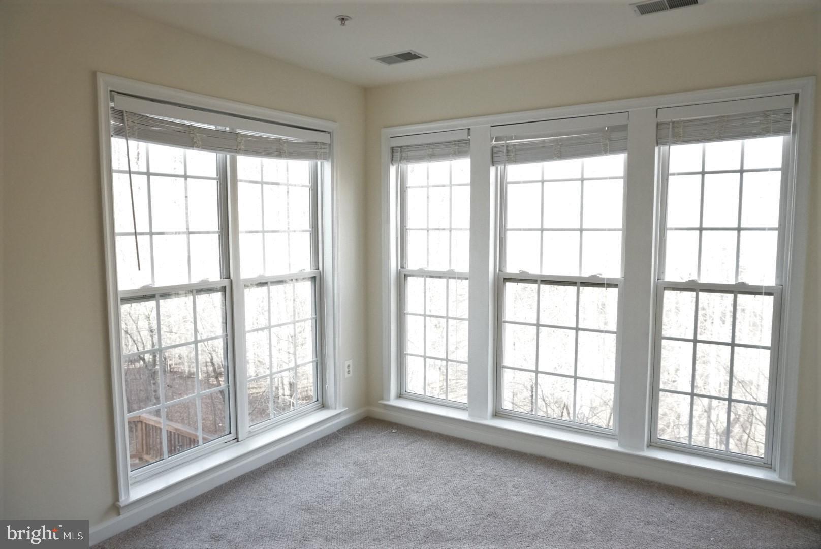 13933 Lullaby Road Germantown, MD 20874 - Photo 94 of 106 Gallery Image 94