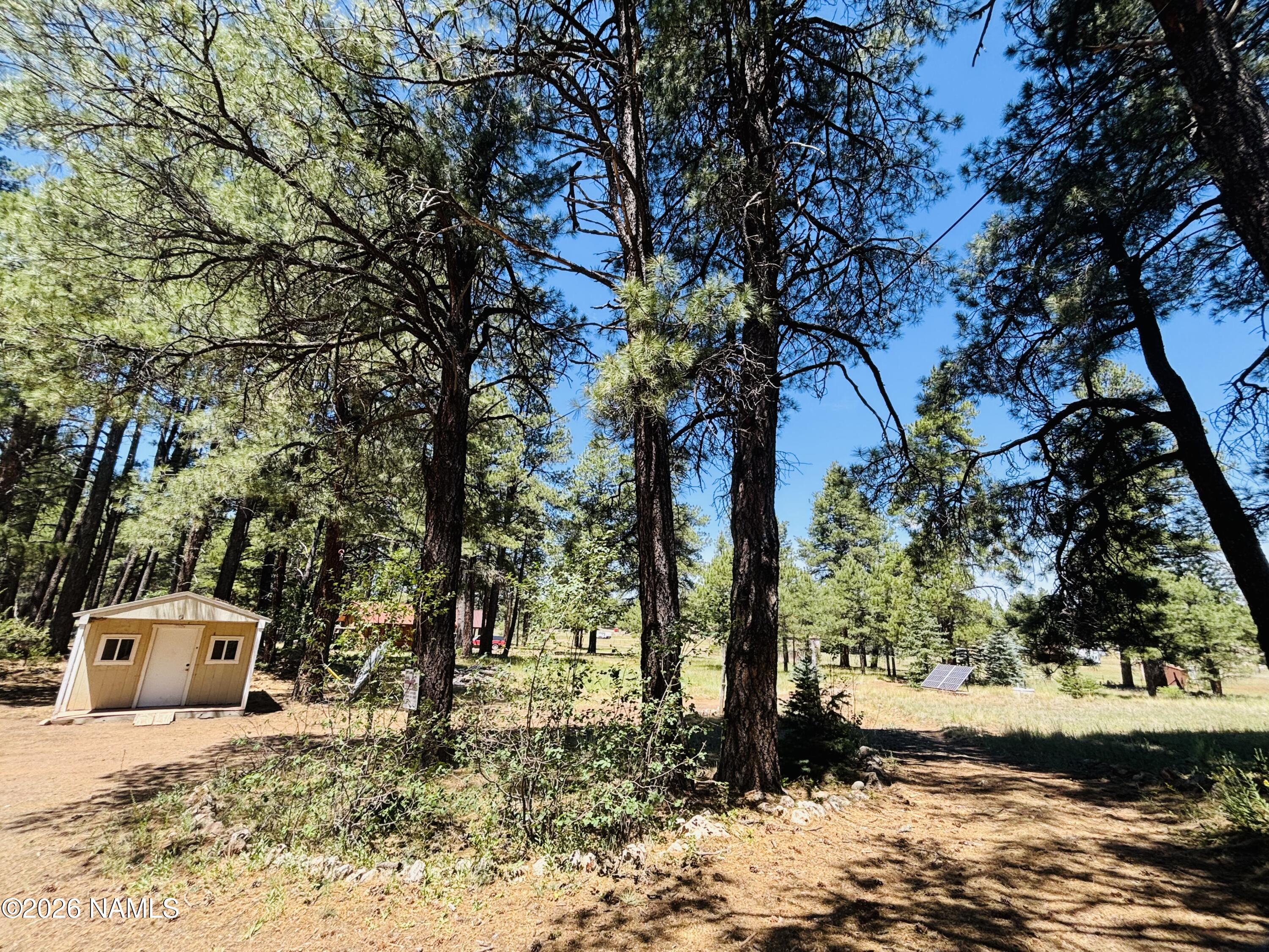 5577 Antelope Road Flagstaff, AZ 86005 - Photo 27 of 30 IMG_5949