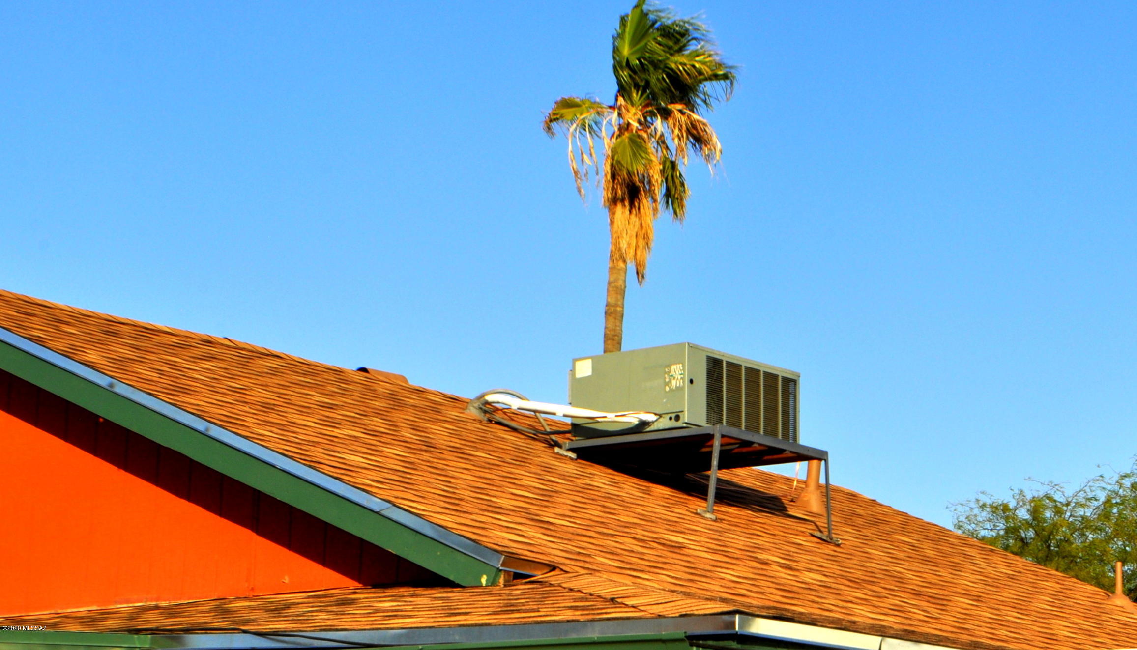 461 West Thurber Road Tucson, AZ 85705 - Photo 25 of 49