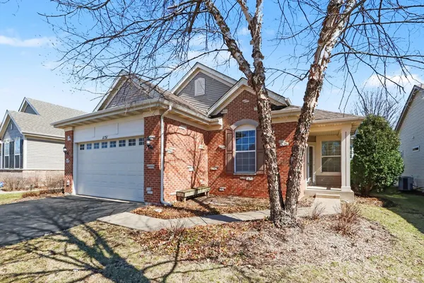 a view of a tree with a tree