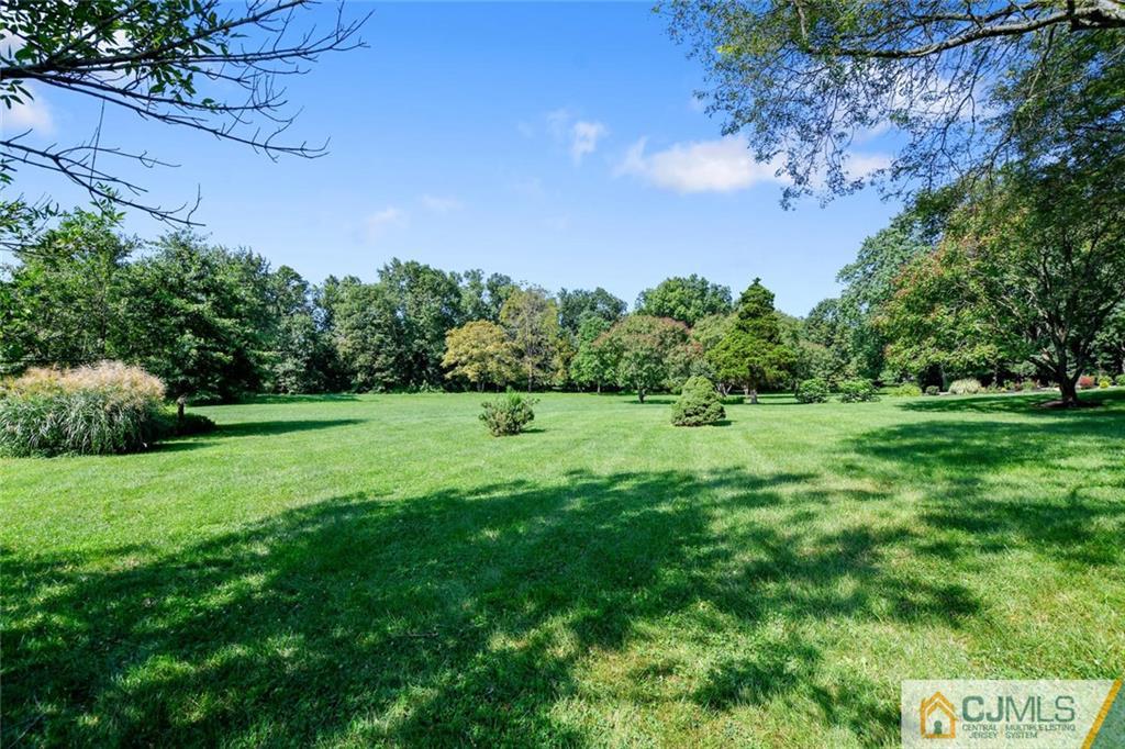 124 Fairfield Road Princeton, NJ 08540 - Photo 23 of 24 a view of a garden with a tree