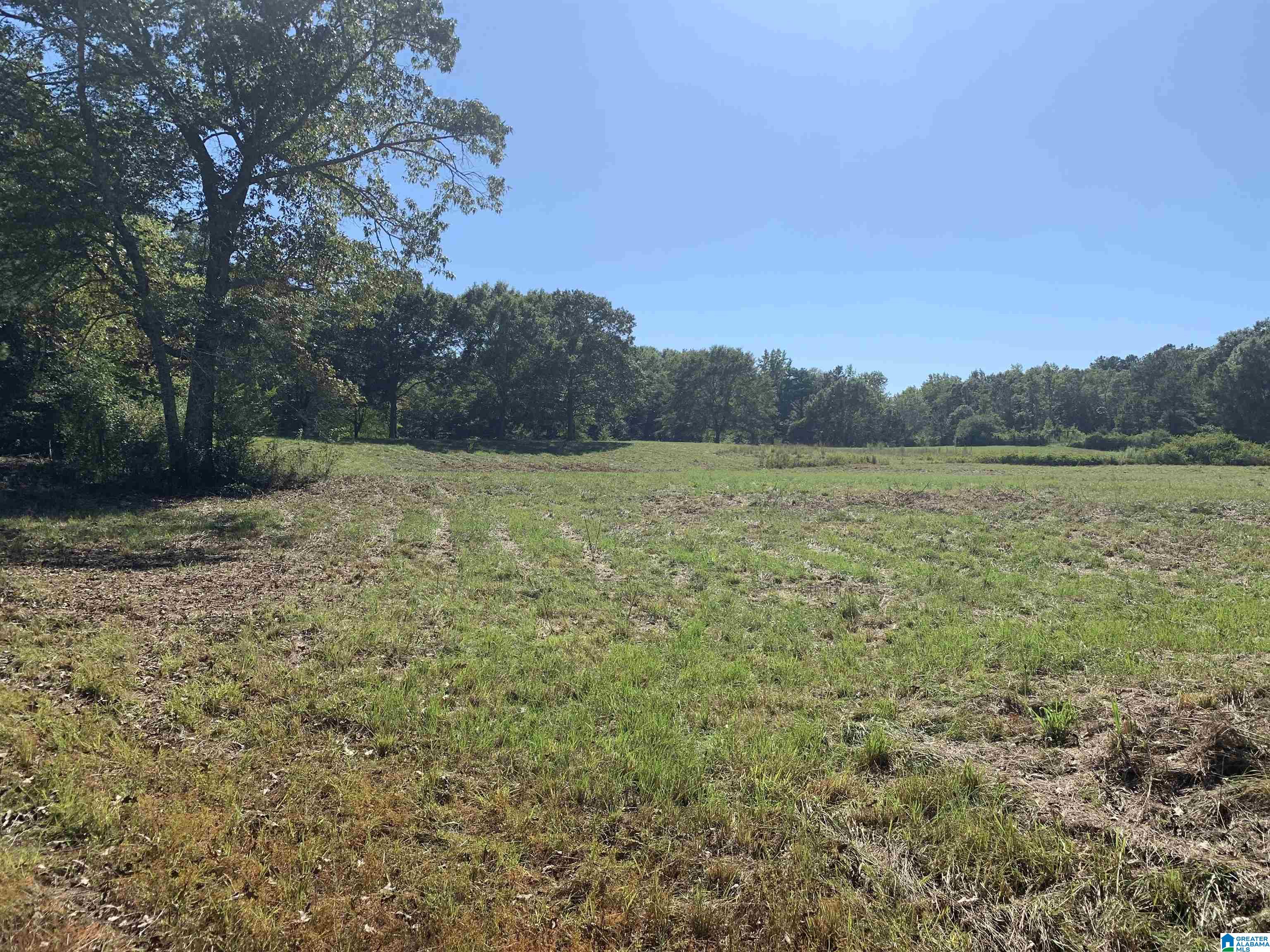 2020 Church Road, Unit 2020 Pell City, AL 35128 - Photo 10 of 16