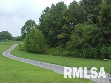 355 Bartruff Road Anna, IL 62906 - Photo 3 of 3 Gallery Image 3