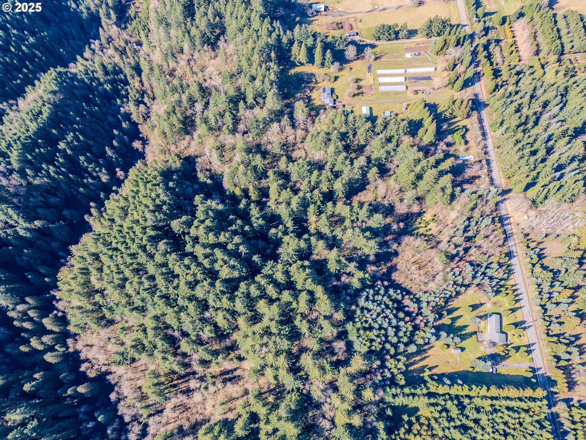 41300 Southeast Louden Road Corbett, OR 97019 - Photo 3 of 48