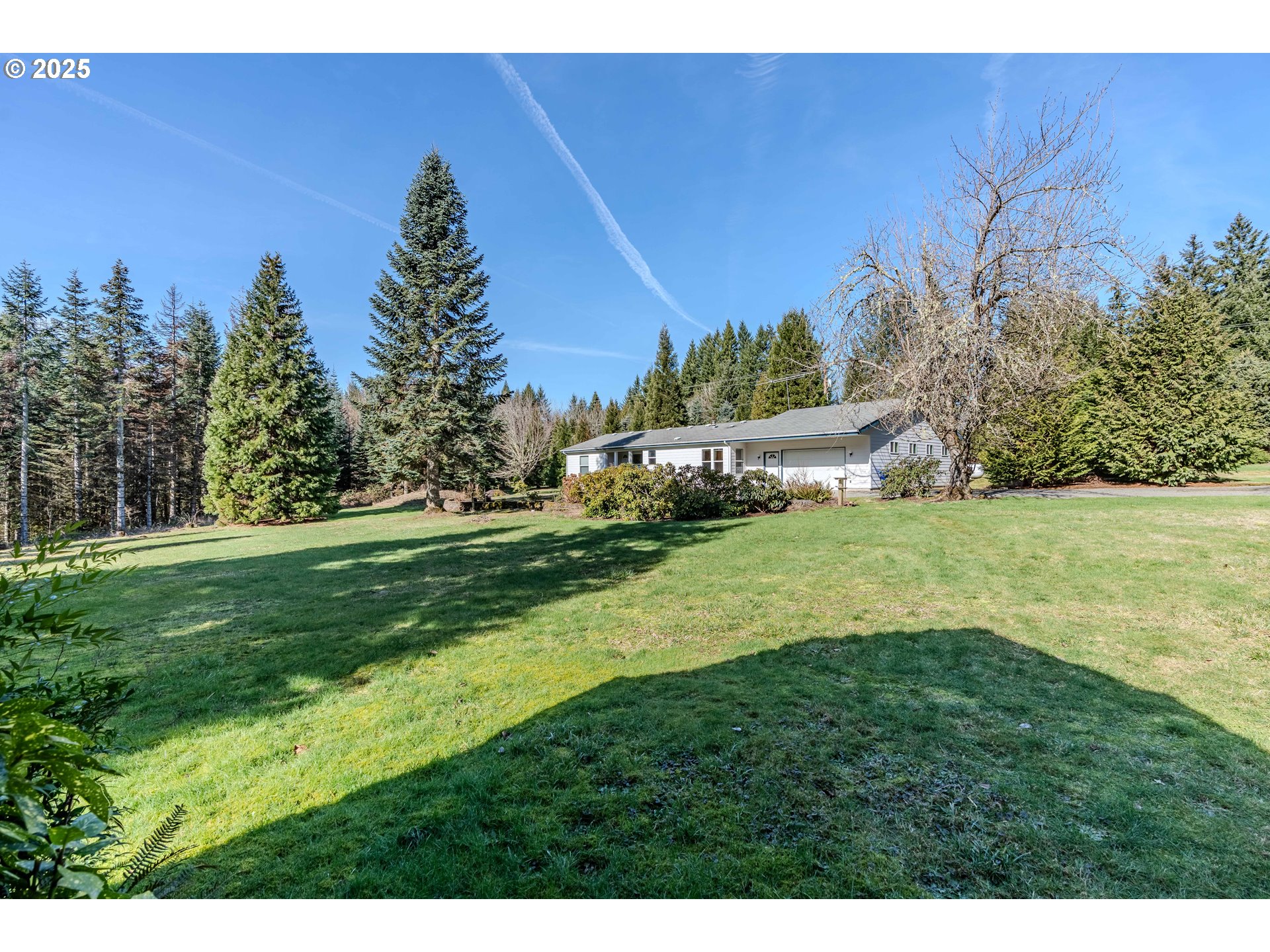 41300 Southeast Louden Road Corbett, OR 97019 - Photo 36 of 48 a view of yard with grass and trees