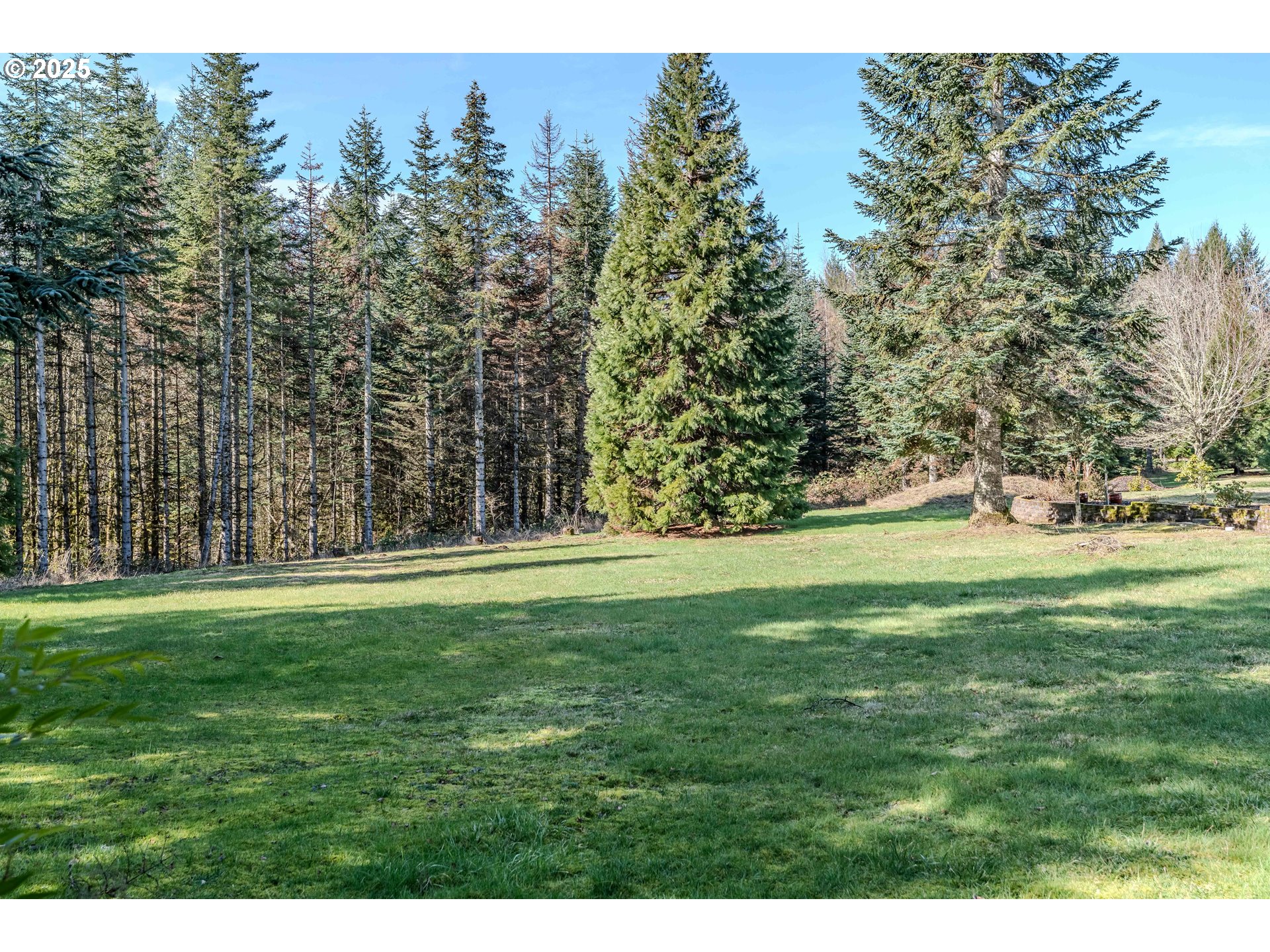 41300 Southeast Louden Road Corbett, OR 97019 - Photo 38 of 48 a view of outdoor space with trees all around