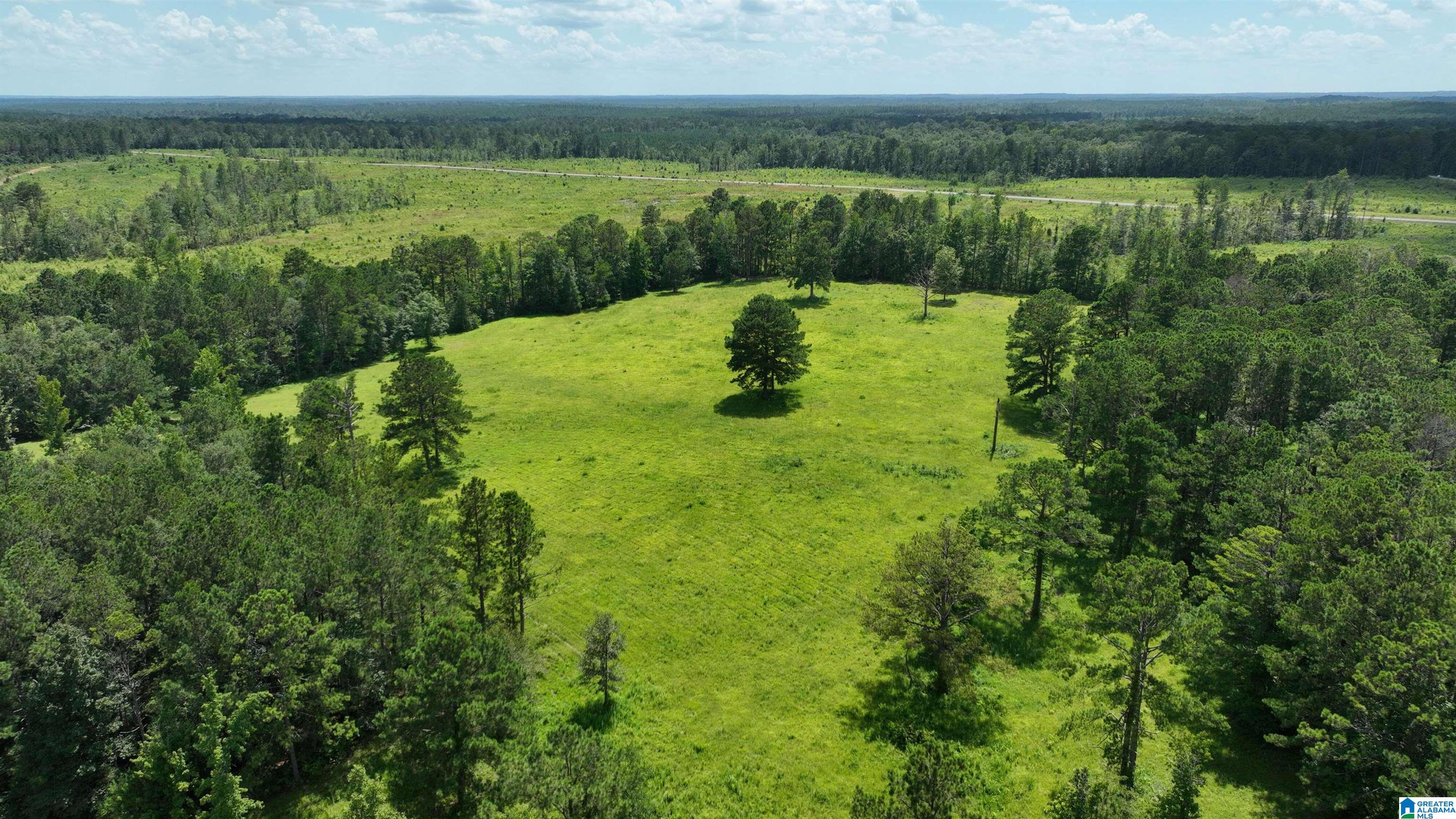0 South Shackleville Road Georgiana, AL 36033 - Photo 1 of 22