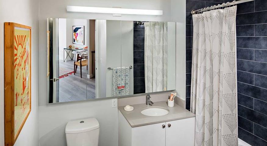100 Willoughby Street, Unit 28Q Brooklyn, NY 11201 - Photo 5 of 10 a en suite bathroom with a granite countertop sink and a mirror