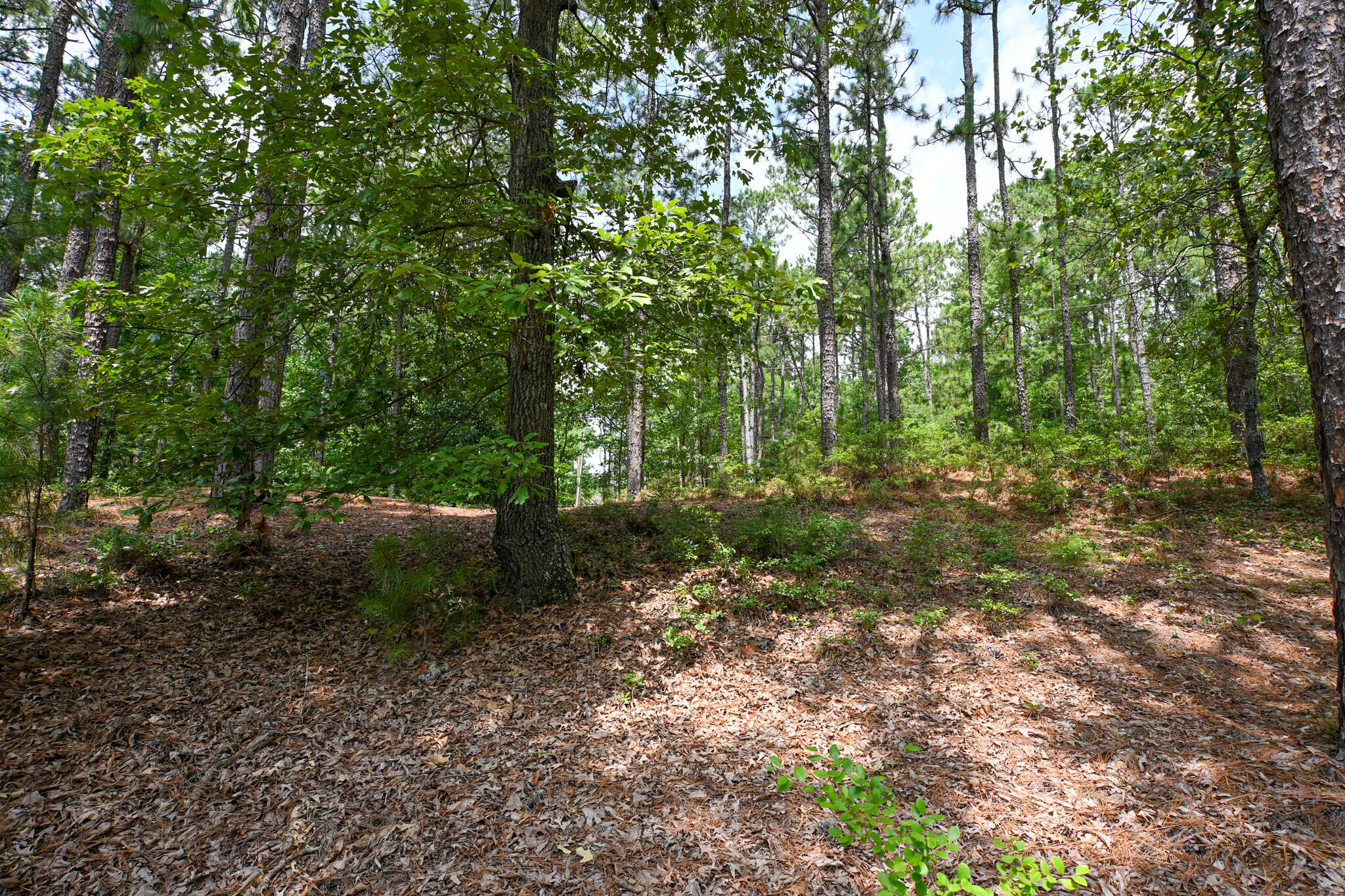 1163 Ridgemont Drive Aiken, SC 29803 - Photo 44 of 45