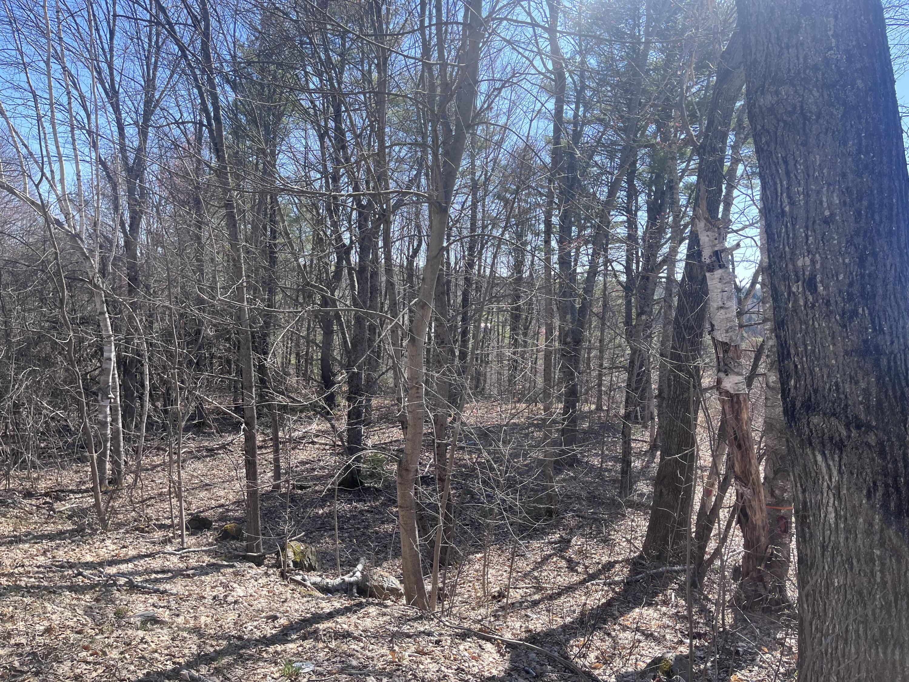 Lot 16 North Reynolds Road Winslow, ME 04901 - Photo 2 of 3 2 Land