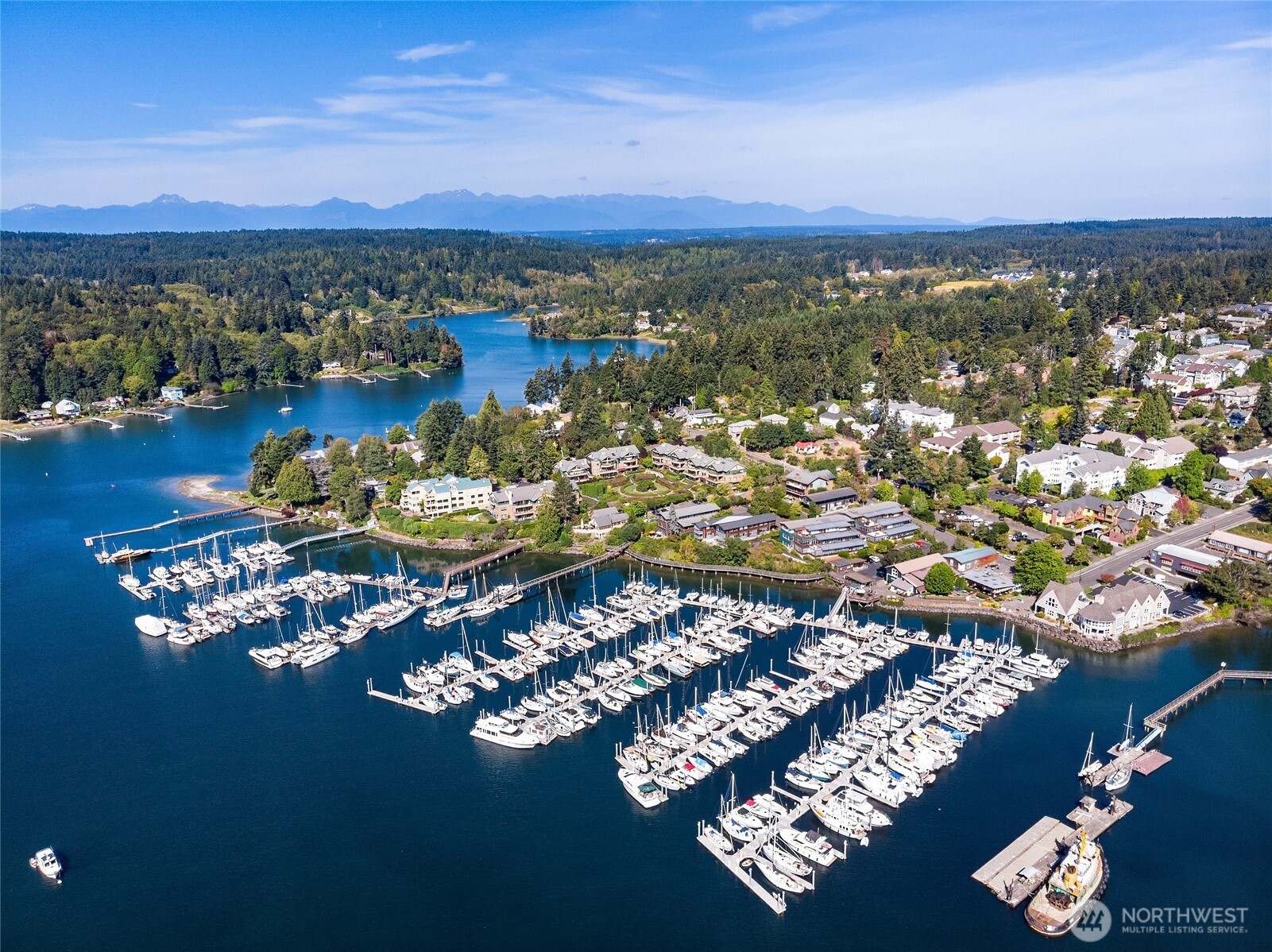 141 Parfitt Way Southwest, Unit A6 Bainbridge Island, WA 98110 - Photo 27 of 31