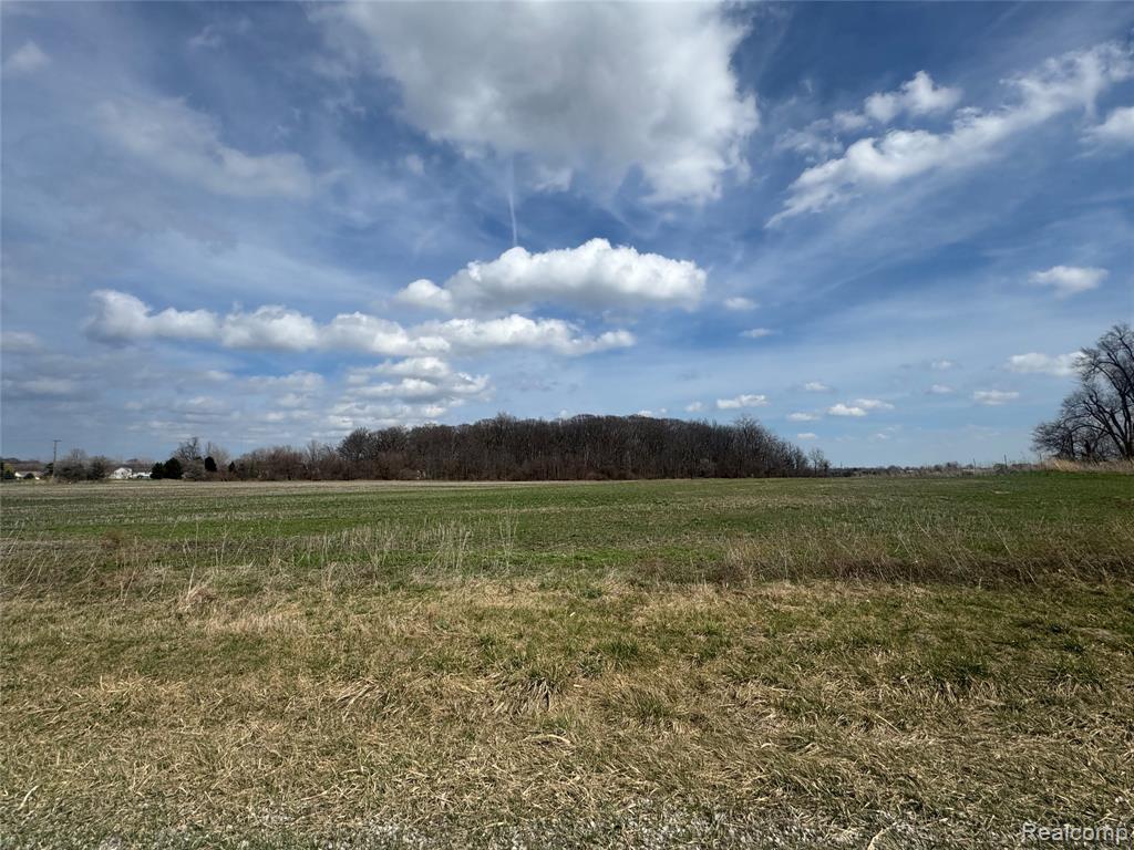 0 Briar Hill Road Carleton, MI 48117 - Photo 4 of 5