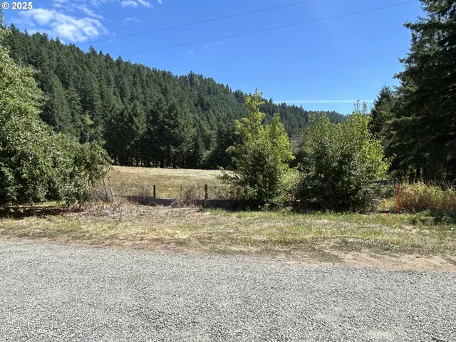 $425,000 | 162 Spicer Street, Scottsburg, OR 97473