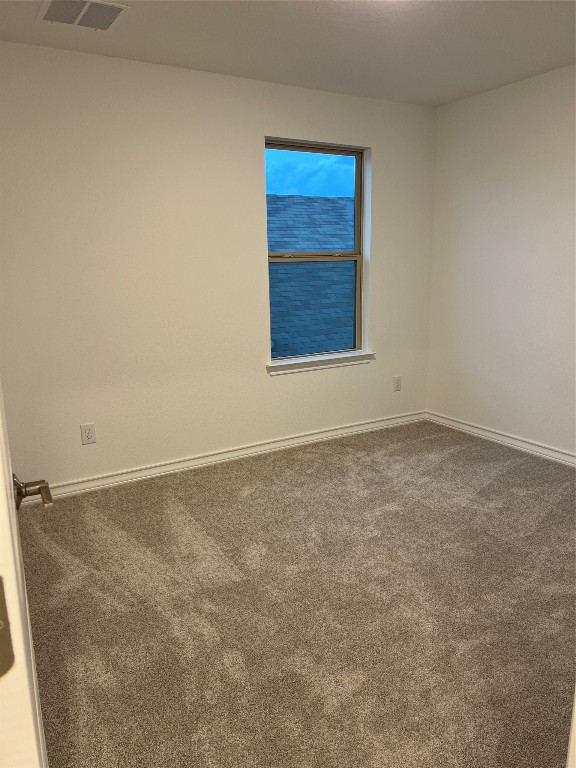 497 Papaya Drive Buda, TX 78610 - Photo 29 of 39