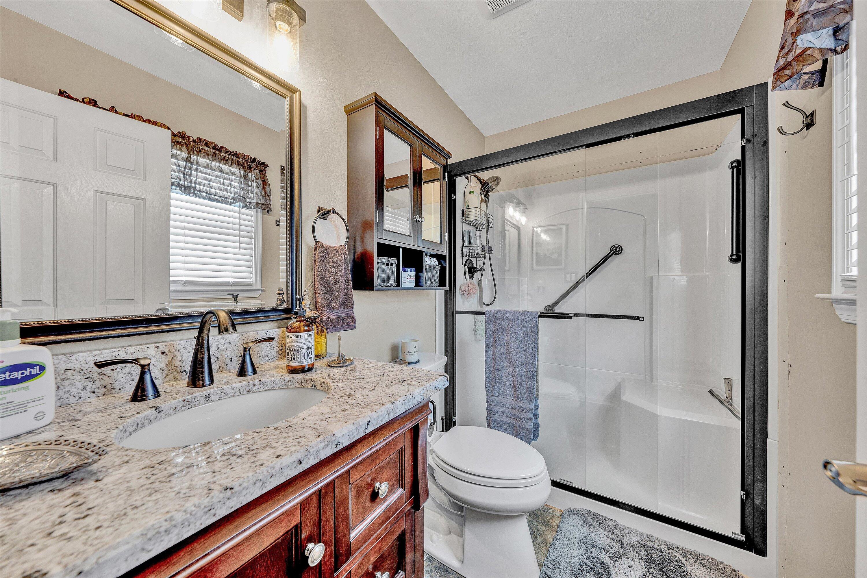 1160 Sandy Level Road Goodview, VA 24095 - Photo 18 of 47 a bathroom with a granite countertop sink toilet and shower