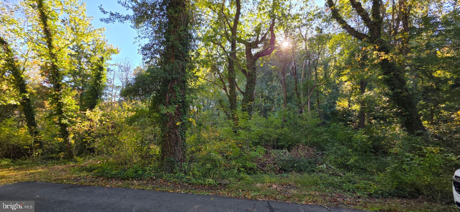 10th Street Chesapeake Beach, MD 20732 - Photo 2 of 2