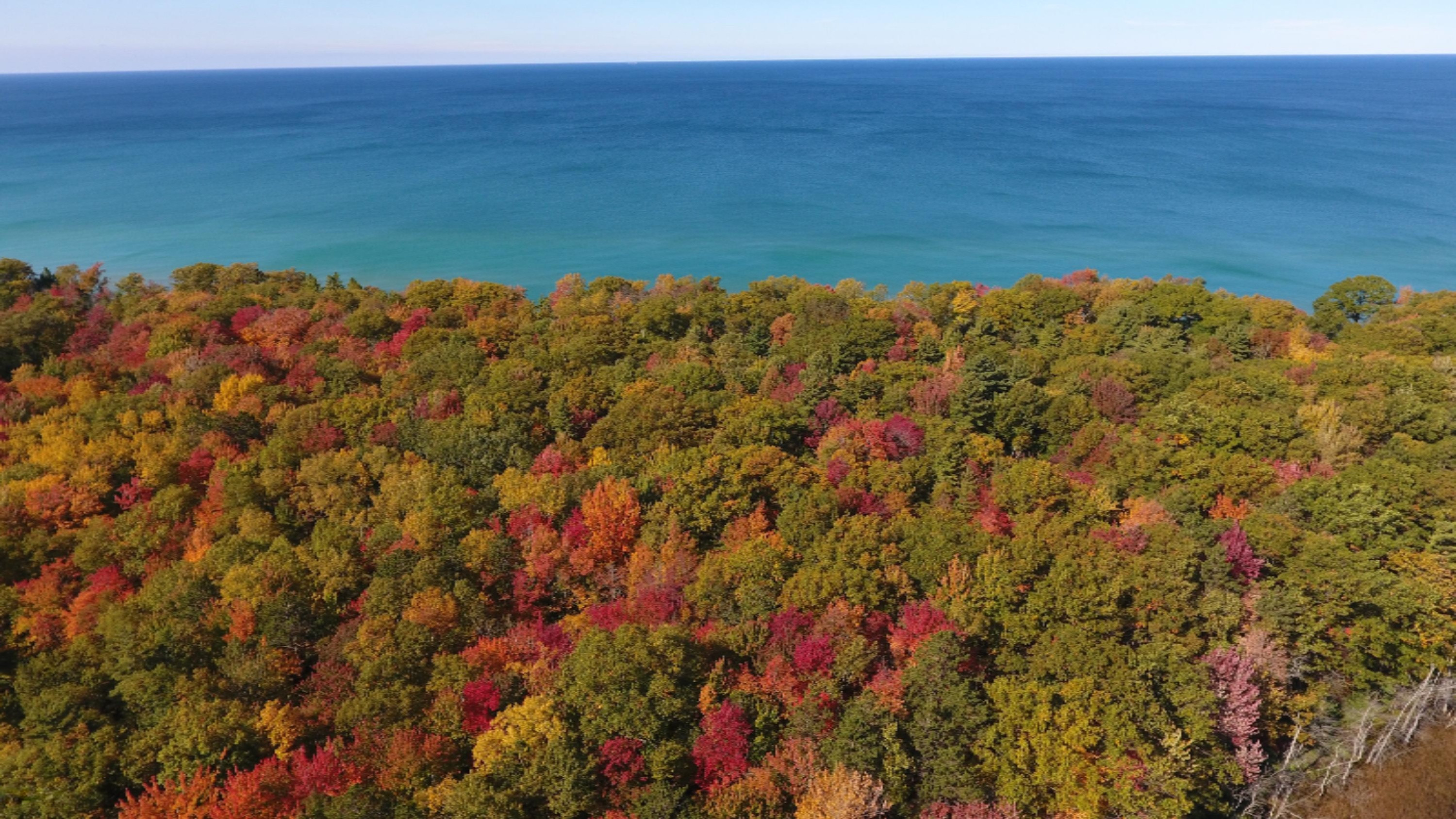 5930 Lakeshore Road Manistee, MI 49660 - Photo 88 of 101 IMG_0807