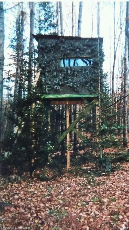 2424 Pierce Road Mio, MI 48647 - Photo 43 of 48 30059750_49.jpg