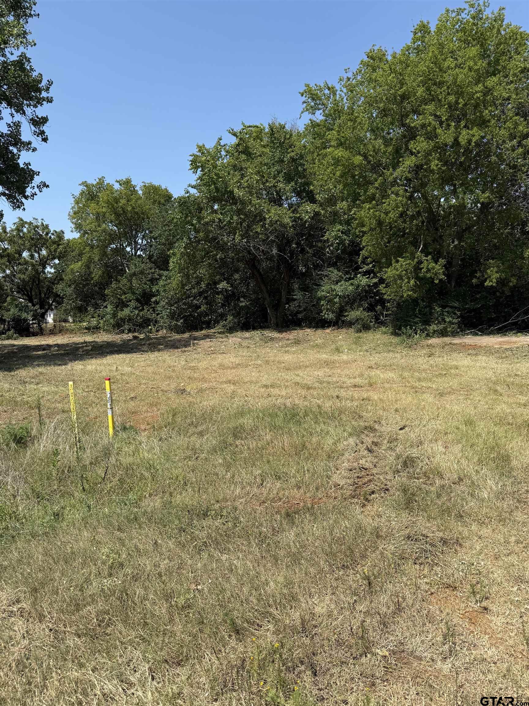 1201 South Houston Street Bullard, TX 75757 - Photo 5 of 7