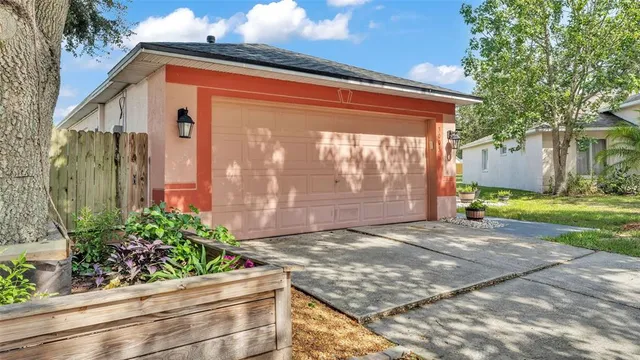 a view of backyard with potted plants