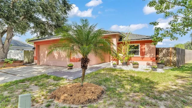a view of a yard with palm tree