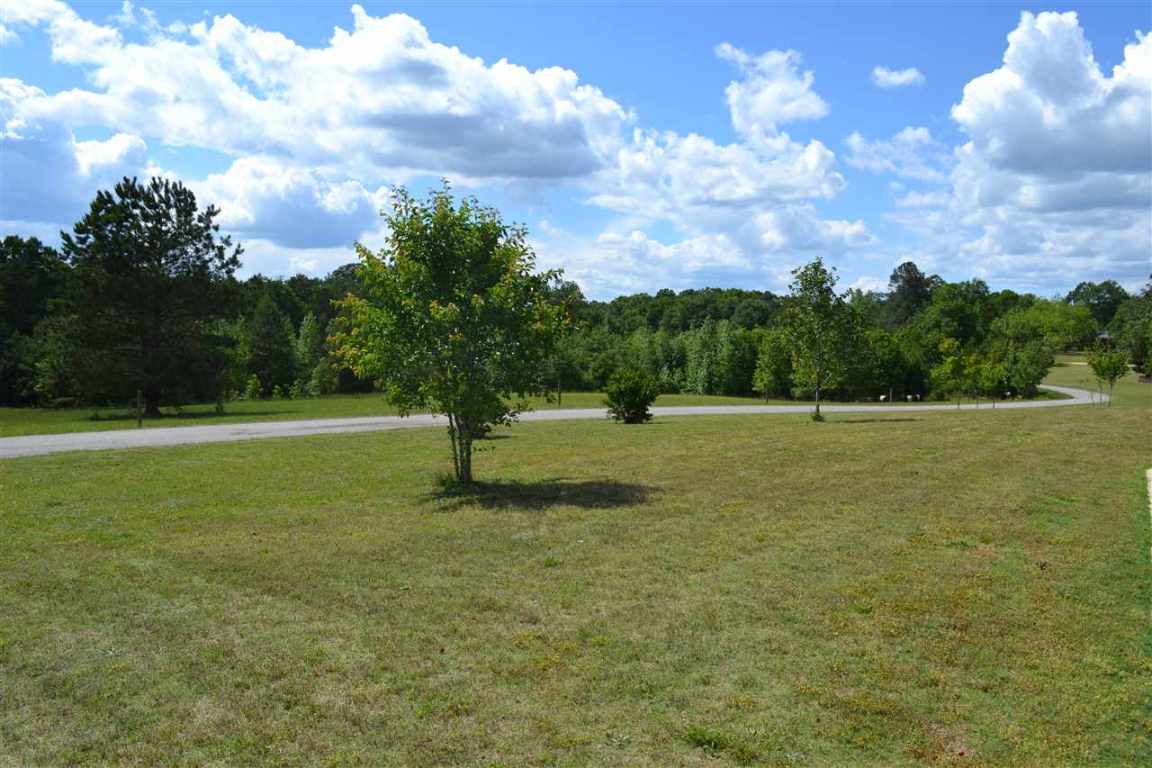 201 Reece Haynie Road Iva, SC 29655 - Photo 5 of 36