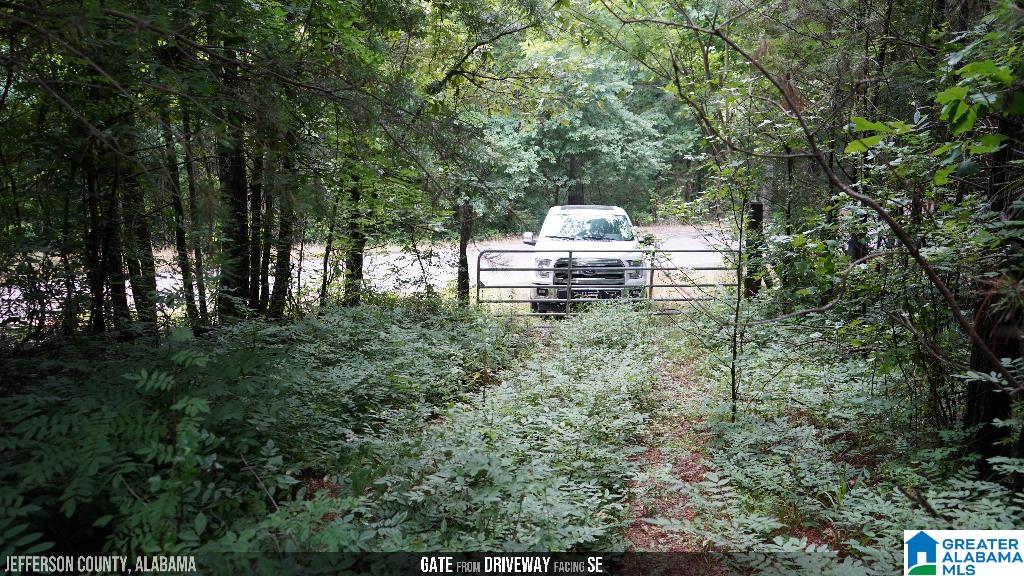 9289 Johns Road Brookwood, AL 35444 - Photo 20 of 38