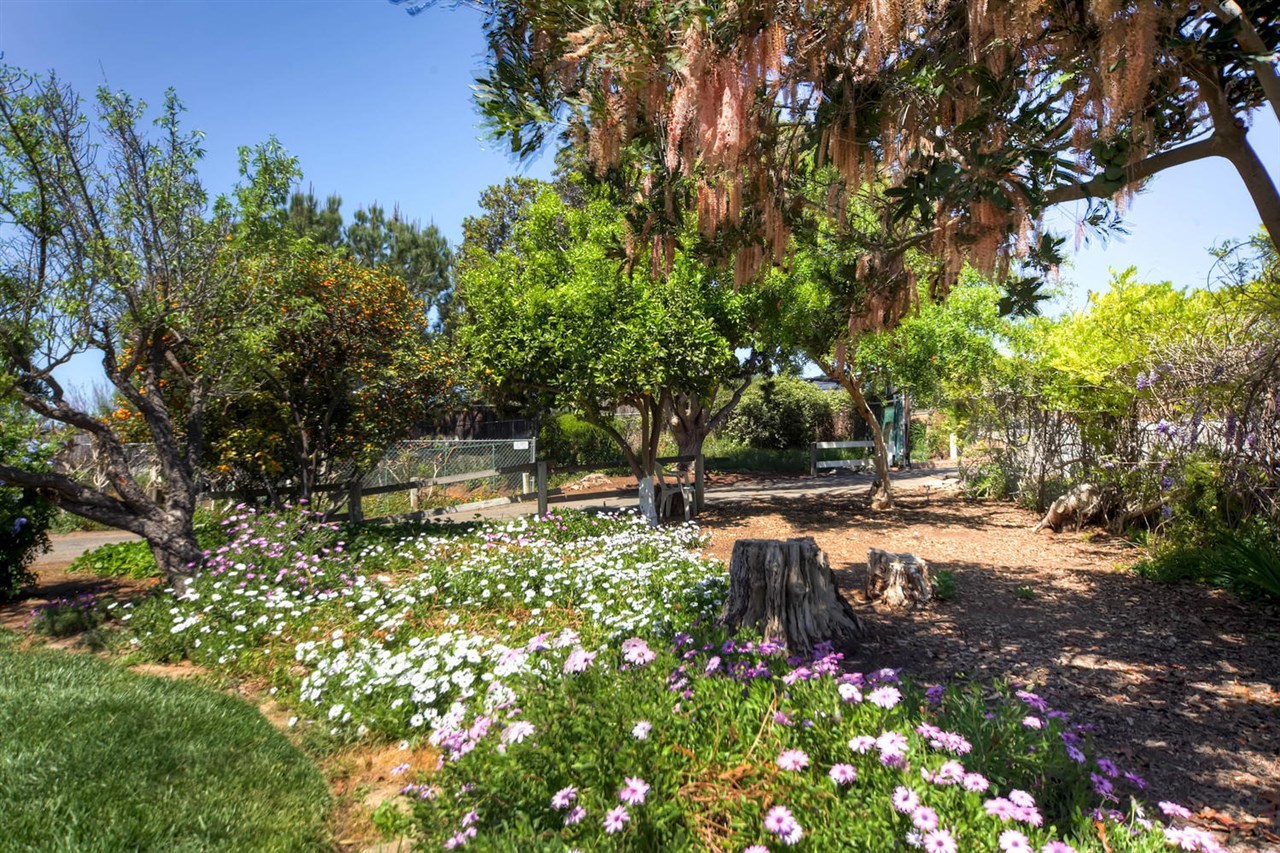 3009 Olive Hill Road Fallbrook, CA 92028 - Photo 23 of 25