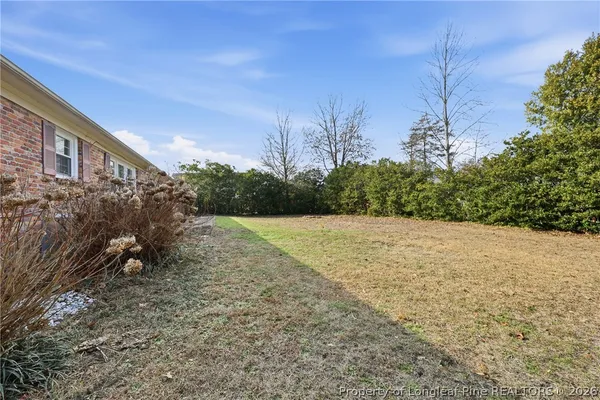a view of backyard with green space
