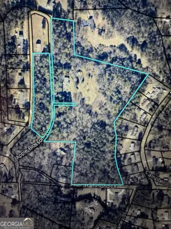 $850,000 | 130 Apple Blossom Lane, Summerville, GA 30747